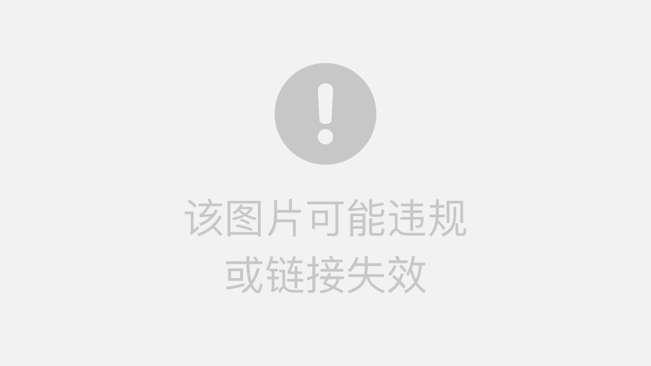 VS吧，在Go语言社区中的独特魅力